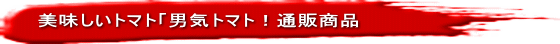 美味しいトマト「男気トマト！通販商品